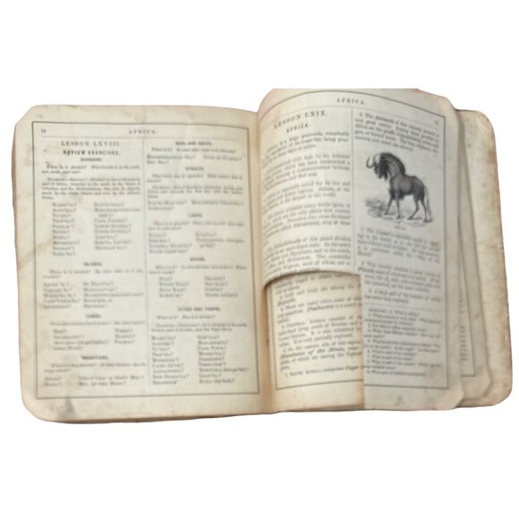 Colton's New Introductory Geography 1875 Hardback Book D. D. Merrill Damage READ - Picture 4 of 16